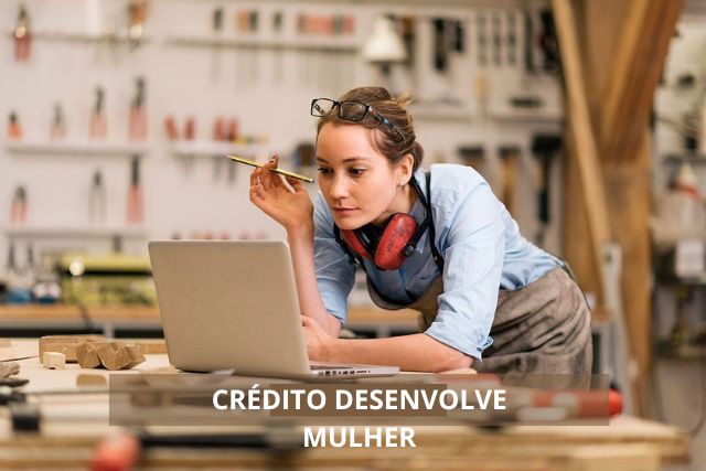 Crédito DESENVOLVE MULHER